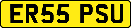 ER55PSU
