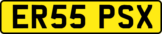 ER55PSX