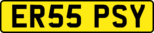 ER55PSY