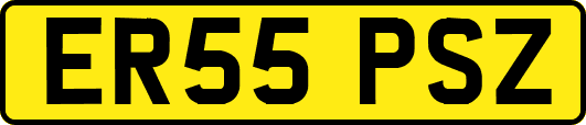 ER55PSZ