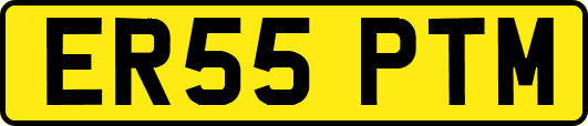 ER55PTM