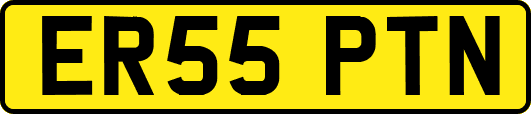 ER55PTN