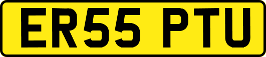 ER55PTU