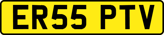 ER55PTV
