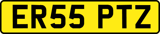 ER55PTZ