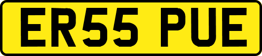 ER55PUE
