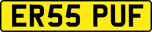 ER55PUF