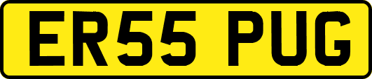 ER55PUG