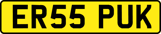 ER55PUK