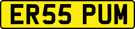 ER55PUM