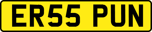 ER55PUN