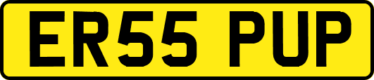 ER55PUP