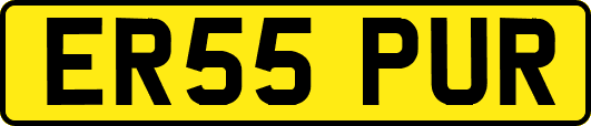 ER55PUR