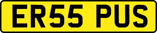 ER55PUS