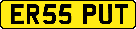 ER55PUT