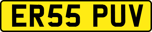 ER55PUV