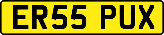 ER55PUX