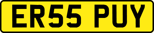 ER55PUY