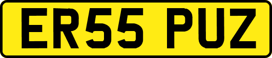 ER55PUZ
