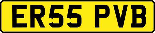 ER55PVB
