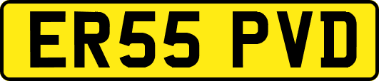 ER55PVD