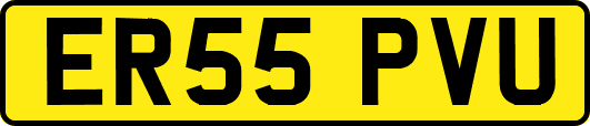 ER55PVU