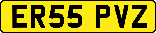 ER55PVZ