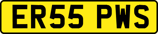 ER55PWS