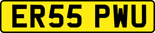 ER55PWU