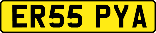 ER55PYA