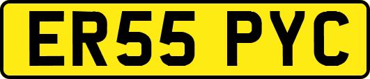 ER55PYC