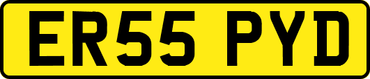 ER55PYD