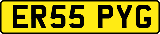 ER55PYG