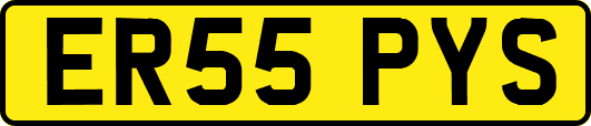 ER55PYS