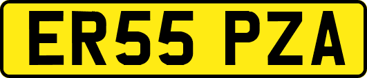 ER55PZA