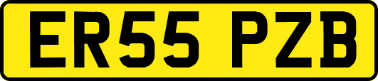 ER55PZB