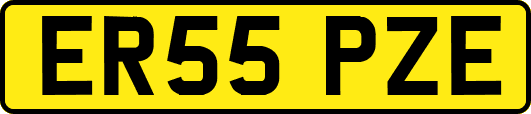 ER55PZE