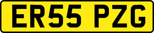 ER55PZG