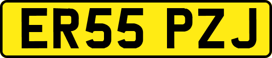 ER55PZJ