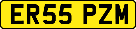 ER55PZM