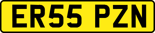 ER55PZN