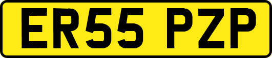 ER55PZP