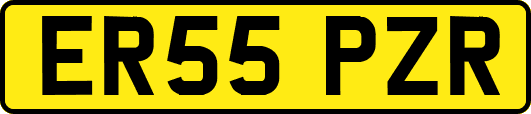 ER55PZR