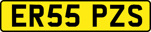 ER55PZS