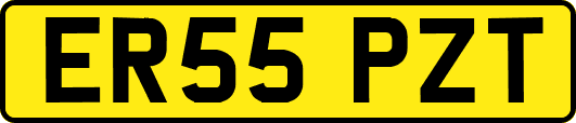 ER55PZT