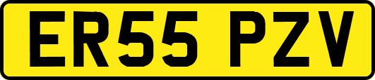 ER55PZV