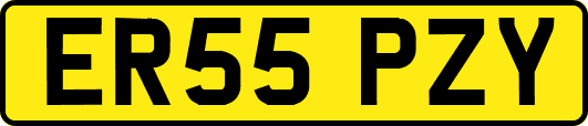 ER55PZY