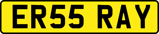 ER55RAY