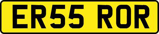 ER55ROR