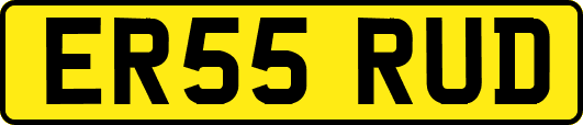 ER55RUD
